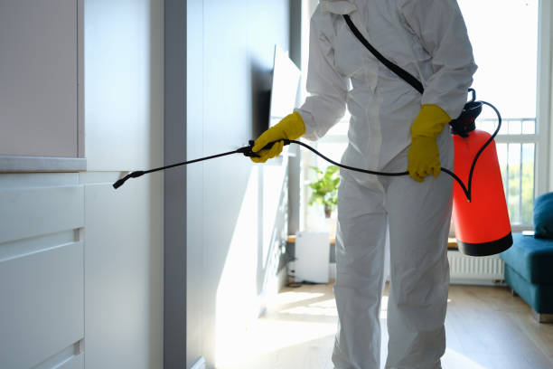 Mold Removal and Inspection in Roscoe, IL