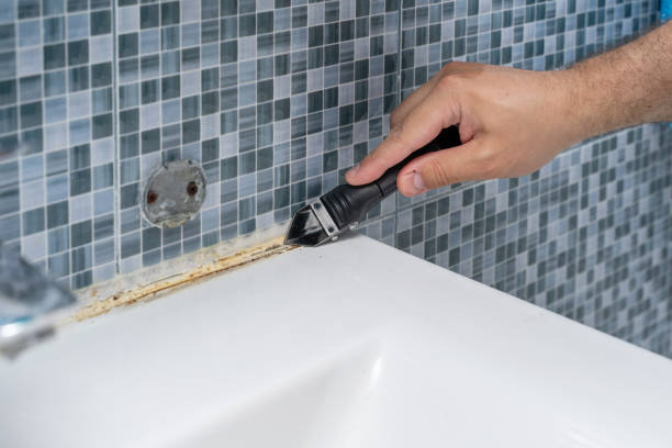 Best Residential Mold Removal  in Roscoe, IL