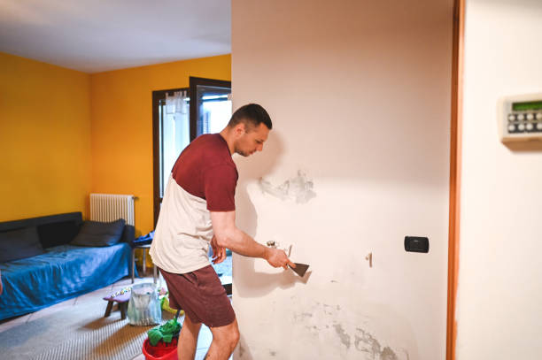 Best Mold Remediation  in Roscoe, IL